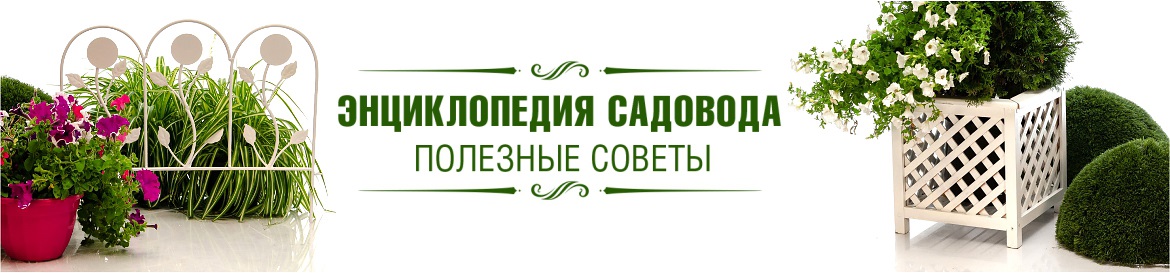 Энциклопедия садовода